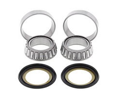 Steering Stem bearings