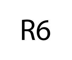 R6