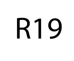 R19