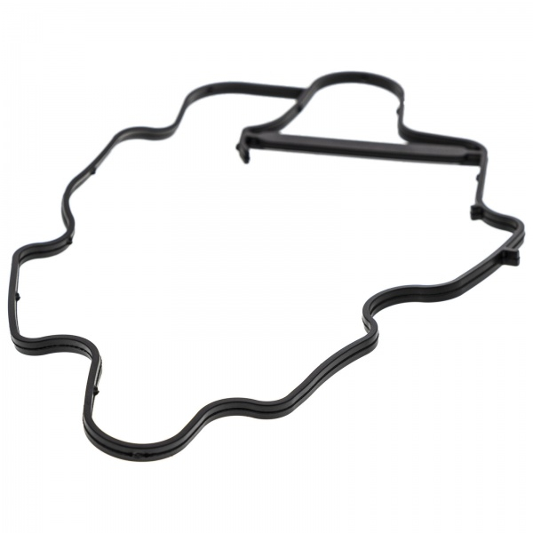 products/100/003/458/93/Tarpine Can-Am GASKET 420631486.jpg