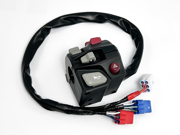 products/100/003/493/75/9DQV-166000-4200.jpg