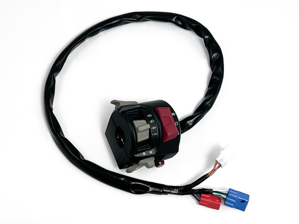 products/100/003/714/52/9DSV-166000-6J01.jpg