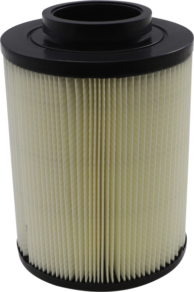 products/100/004/755/52/Oro filtras Polaris 48-1006.png