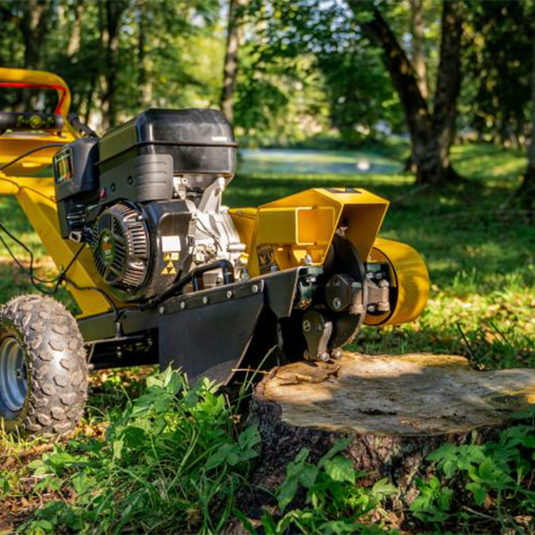 products/100/005/038/12/Kelmu smulkintuvas freza SG-8 95.1000_real1.jpg