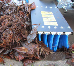 products/100/001/202/23/Sepetys prie keturracio 20.1000_5.jpg