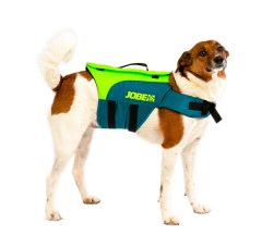 products/100/004/031/52/Gelbejimosi liemene Augintiniui JOBE Pet Vest ZaliaMelyna_4.jpg