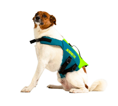 products/100/004/031/52/Gelbejimosi liemene Augintiniui JOBE Pet Vest ZaliaMelyna_5.jpg