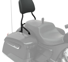 products/100/004/876/53/Keleivio atloso remas Universal Quick Release Passenger Sissy Bar 2884186-266_4.webp
