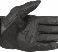 products/100/004/891/19/Pirstines ALPINESTARS GLOVE MUSTANG V2 Juodos_1.png