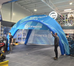 products/100/005/050/94/CFMOTO palapine.jpg