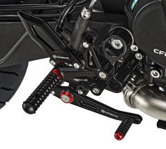 products/100/005/519/68/Reguliuojamas pakojis desine puse CFMOTO 800NK_1.jpg