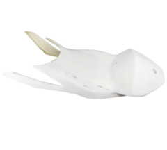products/100/005/932/43/Isoriniai plastikai stiklo pluosto CFMOTO 450SR_93.jpg