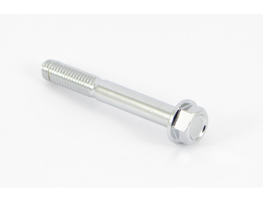 0130-011109-0030 Bolt  M8x60