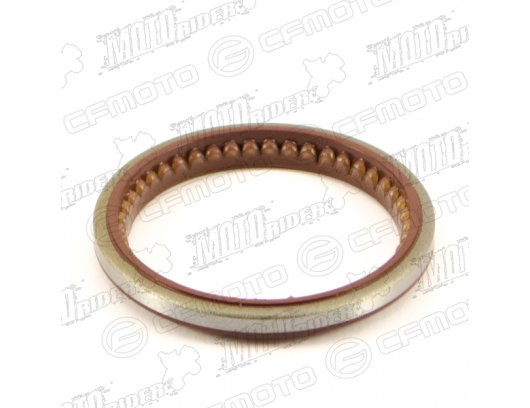 0180-053005 OIL SEAL, END FACE