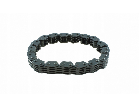 0180-069000 Chain reverse gear