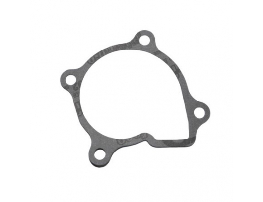 0180-081006 gasket