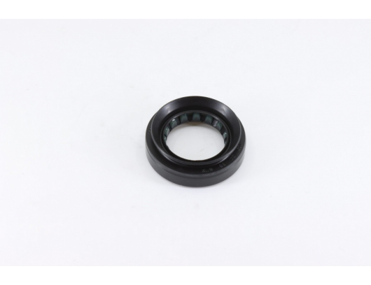 0180-311001 oil seal 24x38x8