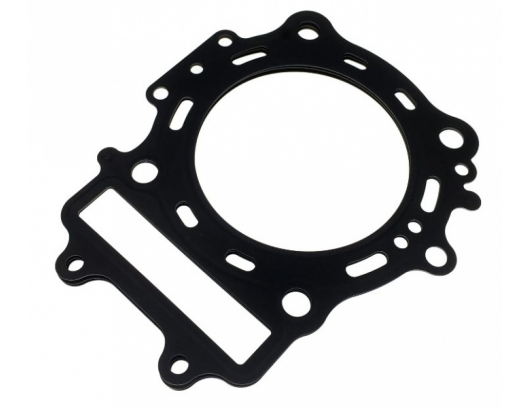 0600-022200 gasket cylinder head