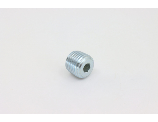 0800-011006 plug screw