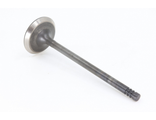 0800-022005 Valve Exhaust