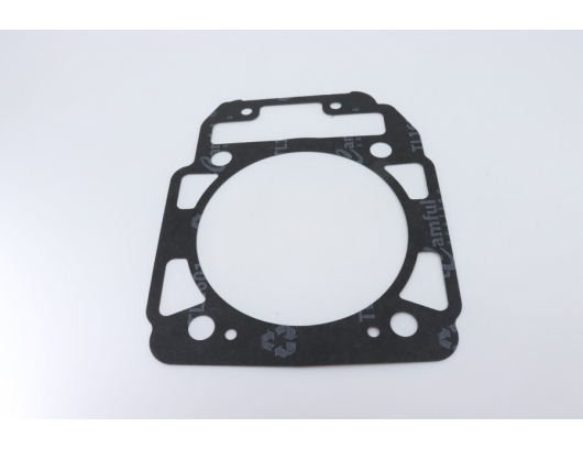 0800-023002 gasket, cylinder