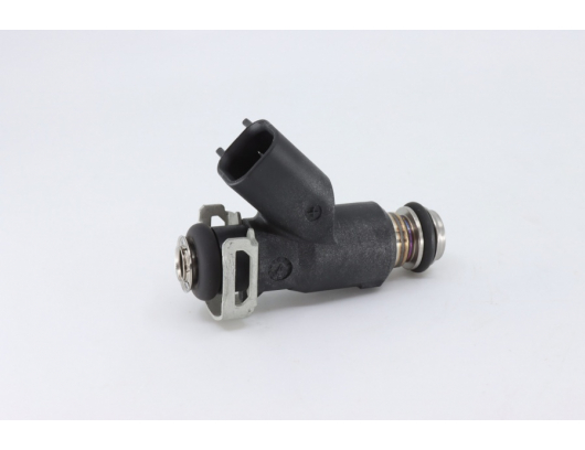 0800-171000 INJECTOR ASSY