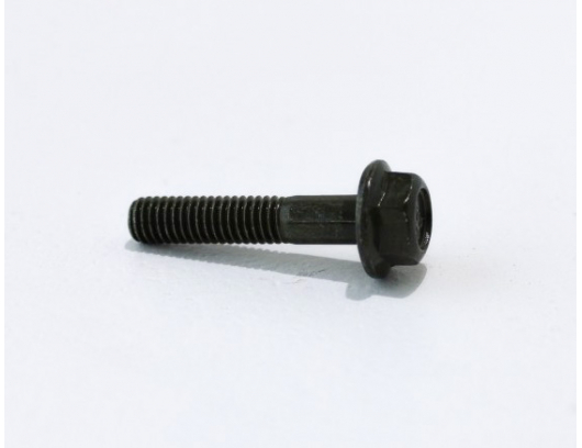 30006-060030840 bolt M6x30