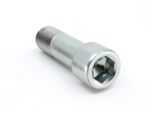 9010-300001 bolt M10x1.25x30