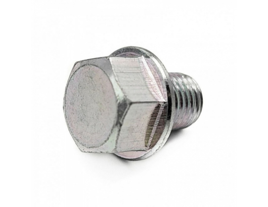 0180-312100 Bolt M10x1.25