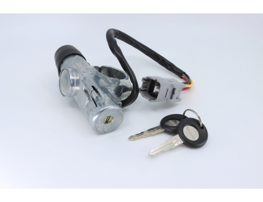7030-010110 LOCK, IGNITION SWITCH