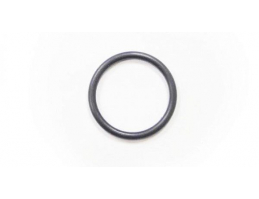 0800-022017 Seal ring, tensioner