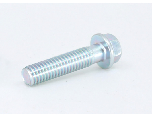 0010-021017-0010 bolt M6x25
