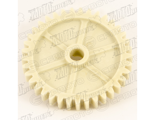 0GR0-070004 SOLID GEAR OIL PUMP
