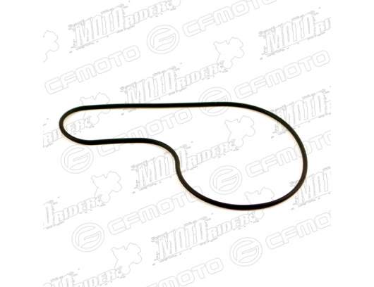 0GR0-080002 SEAL RING, WATER PUMP