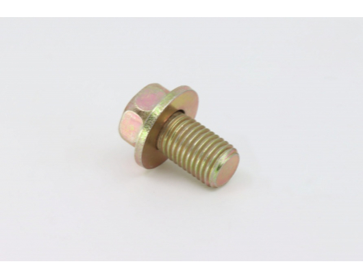 0180-313100-0010 BOLT M10x1.25x18