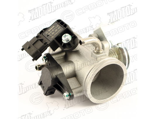 0GR0-173000 THROTTLE BODY