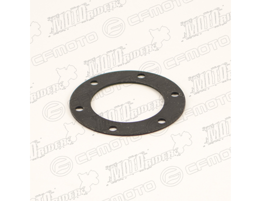 Q800-313005-00100 GEAR WASHER