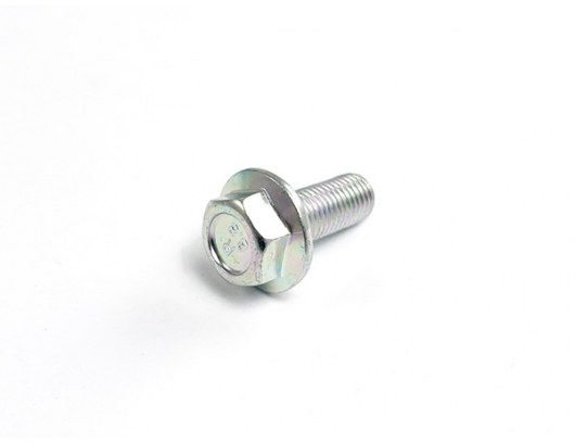 30006-102025810 Bolt