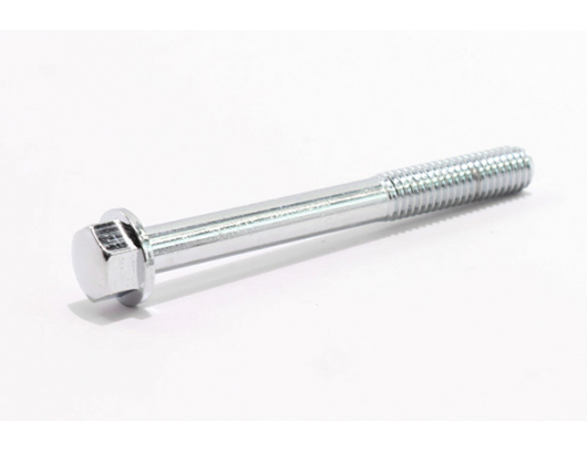 0010-021018-0010 BOLT M6x55