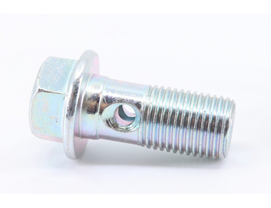 7020-081004 BANJO BOLT