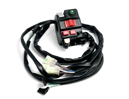 9AW2-160600 HANDLEBAR SWITCH, LH