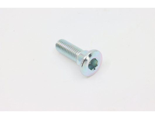A000-080001 SCREW