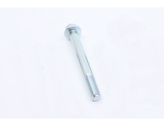 30001-102095110 BOLT