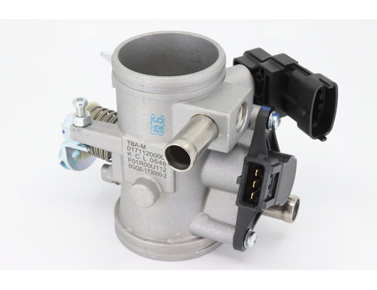 0GQ0-173000-20000 THROTTLE BODY