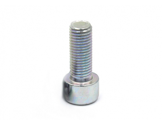 30102-102025810 SCREW M10x1.25