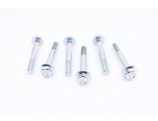 30006-102070810 Bolt