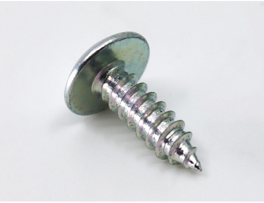 30110-480160010 SELF-TAPPING SCREW