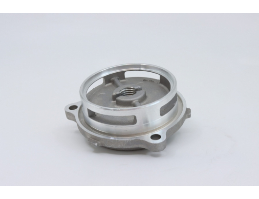 0GR0-011001 PLATE, OILSTRAINER