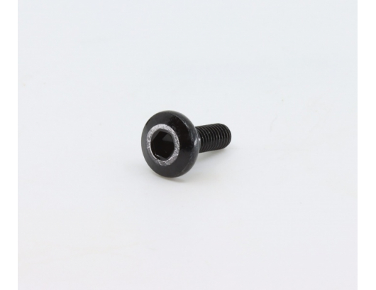 6NQ#-000205-6001 MOUNTING SCREW, CHAIN GUARD