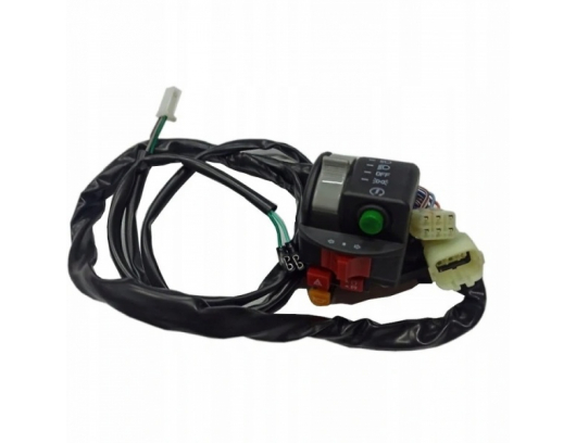 9GQS-160600-00001 HANDLEBAR SWITCHES ASSY., LH